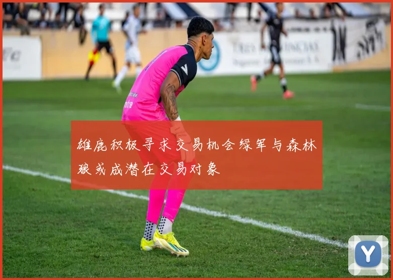雄鹿积极寻求交易机会绿军与森林狼或成潜在交易对象